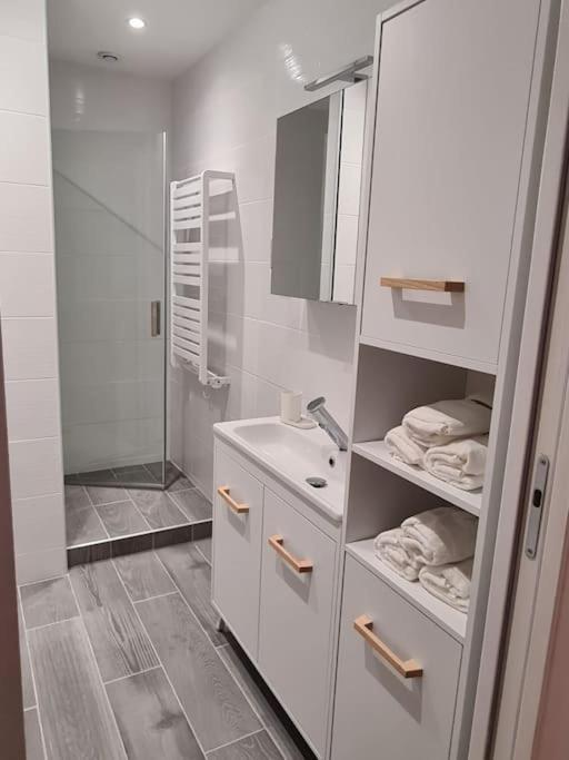 Elegant 2 Chambres Vieille Ville Besançon Dış mekan fotoğraf
